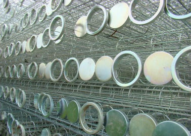 Cualquier tipo jaula del filtro de bolso del colector de polvo de la industria con el tratamiento galvanizado cinc